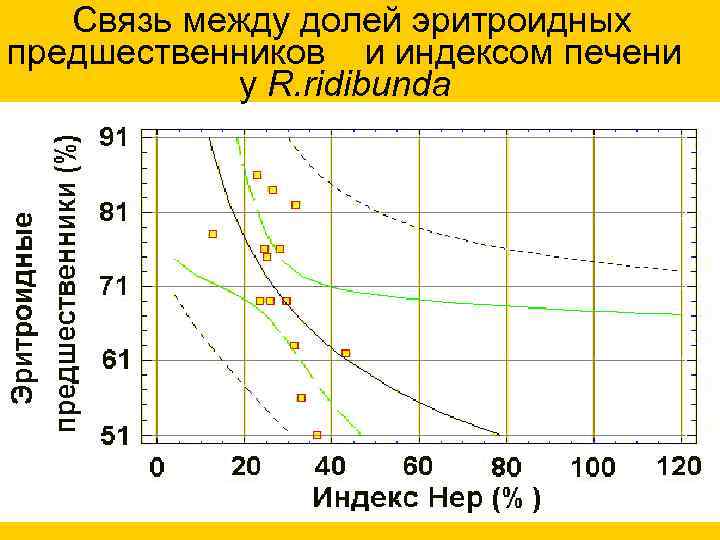 Связь между долей эритроидных предшественников и индексом печени у R. ridibunda 