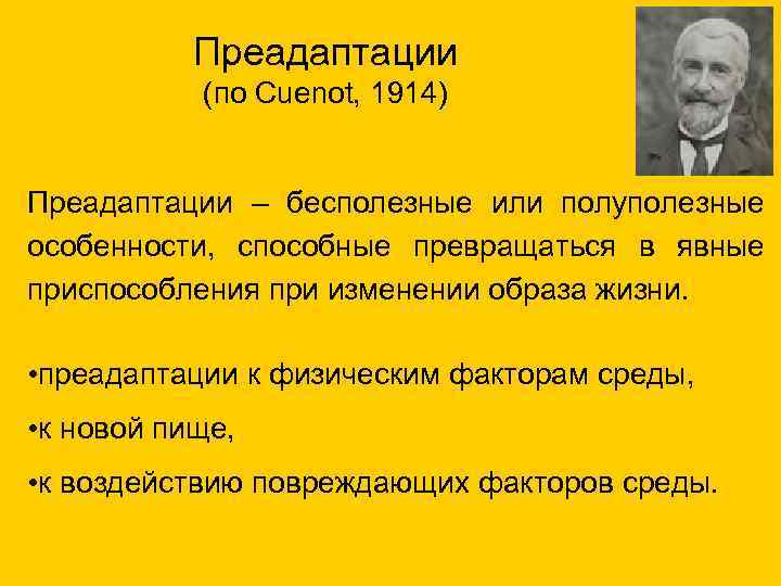 Преадаптации (по Cuenot, 1914) Преадаптации – бесполезные или полуполезные особенности, способные превращаться в явные