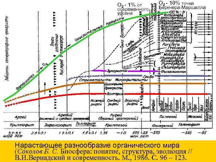 O 2 - 1% от современного уровня O 2 - 10% точка Беркнера-Маршалла Нарастающее
