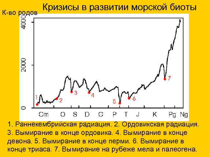 К-во родов Кризисы в развитии морской биоты 1. Раннекембрийская радиация. 2. Ордовикская радиация. 3.