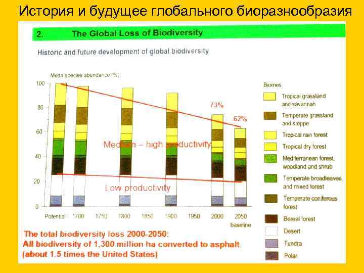 История и будущее глобального биоразнообразия 