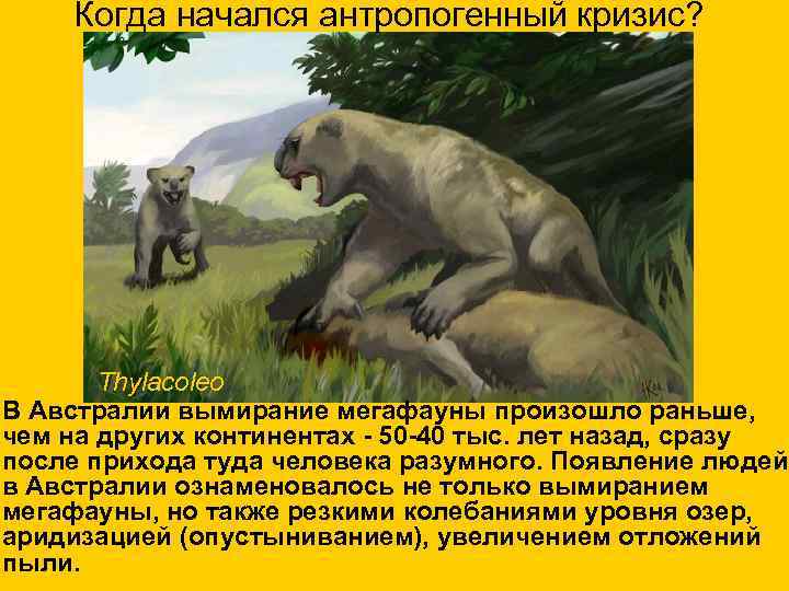 Когда начался антропогенный кризис? Thylacoleo В Австралии вымирание мегафауны произошло раньше, чем на других