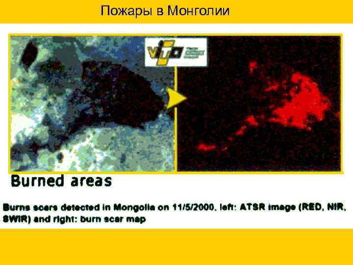 Пожары в Монголии 