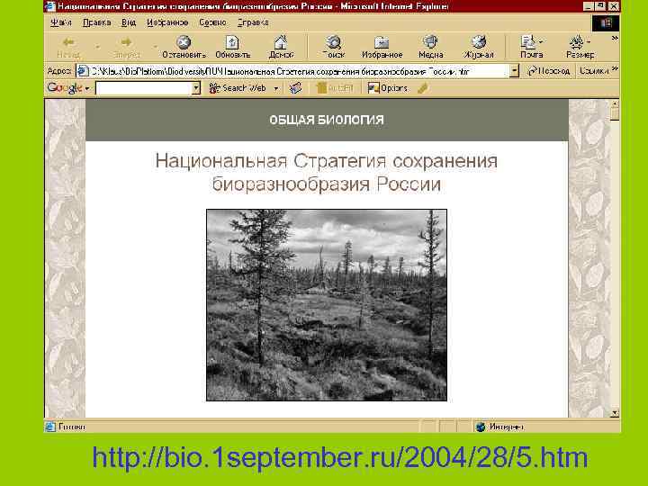 http: //bio. 1 september. ru/2004/28/5. htm 