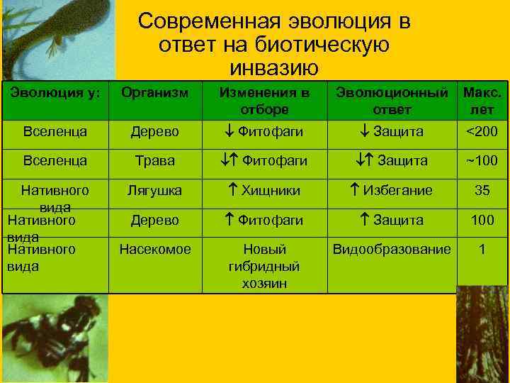 Современная эволюция в ответ на биотическую инвазию Эволюция у: Организм Изменения в отборе Эволюционный