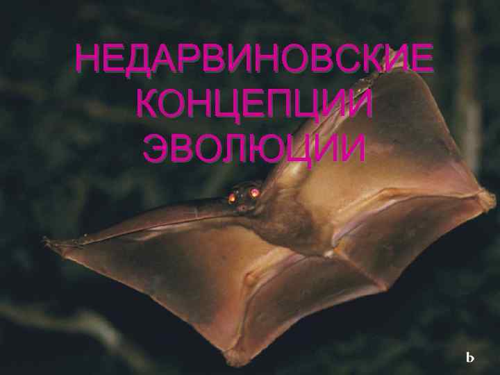 НЕДАРВИНОВСКИЕ КОНЦЕПЦИИ ЭВОЛЮЦИИ 
