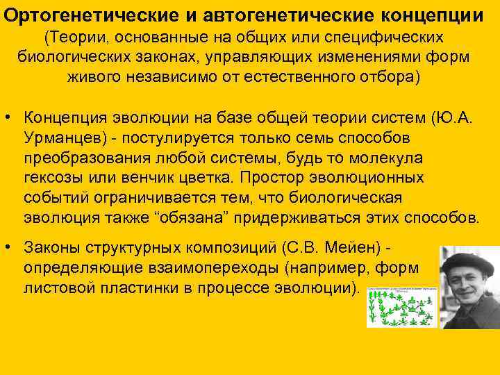 Ортогенетические и автогенетические концепции (Теории, основанные на общих или специфических биологических законах, управляющих изменениями