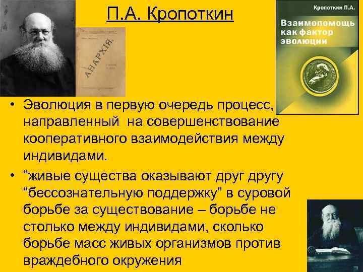 П. А. Кропоткин • Эволюция в первую очередь процесс, направленный на совершенствование кооперативного взаимодействия