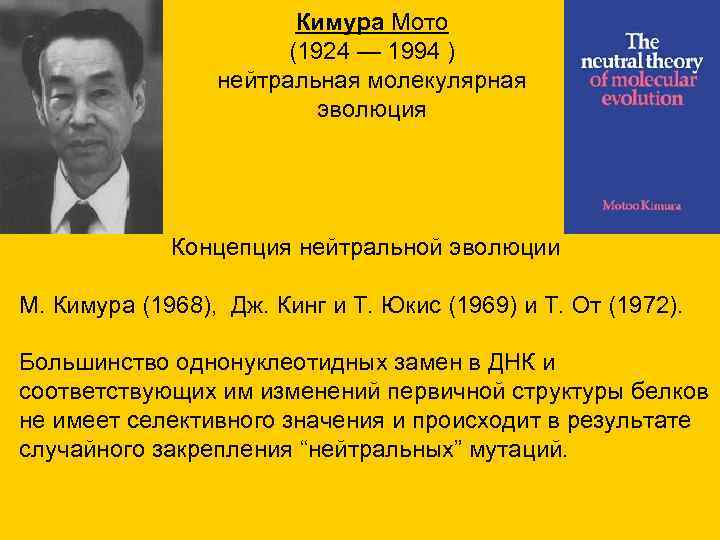 Кимура Мото (1924 — 1994 ) нейтральная молекулярная эволюция Концепция нейтральной эволюции М. Кимура