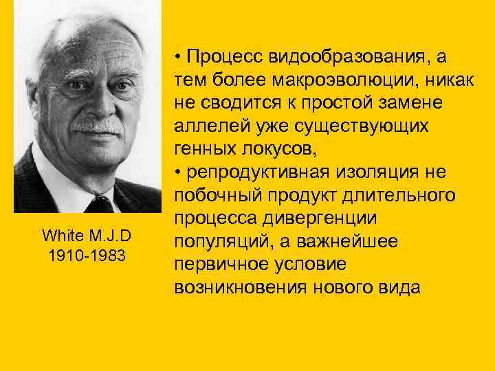 White M. J. D 1910 -1983 • Процесс видообразования, а тем более макроэволюции, никак