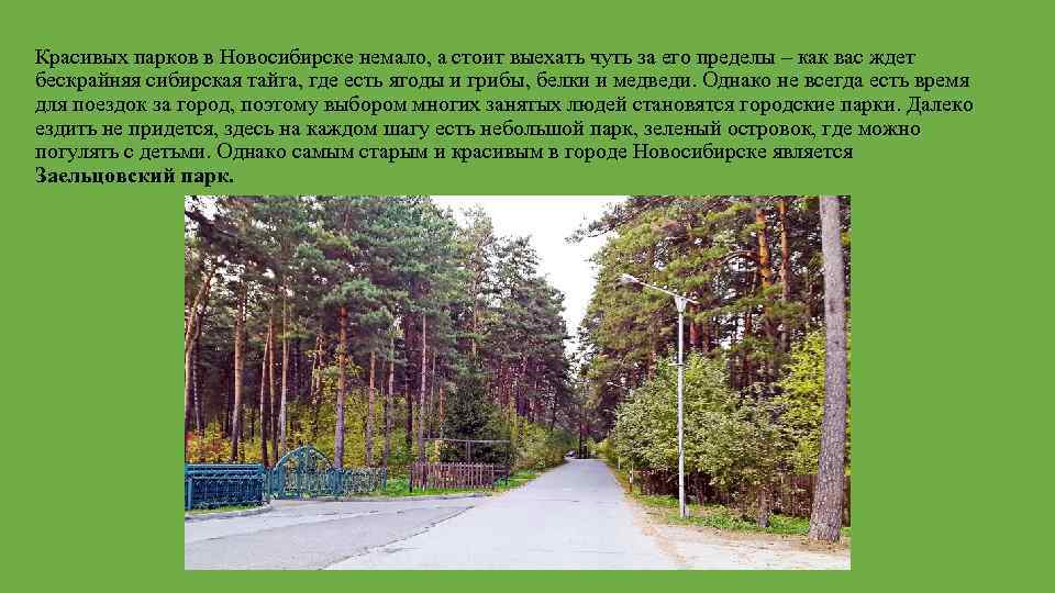 Красивых парков в Новосибирске немало, а стоит выехать чуть за его пределы – как