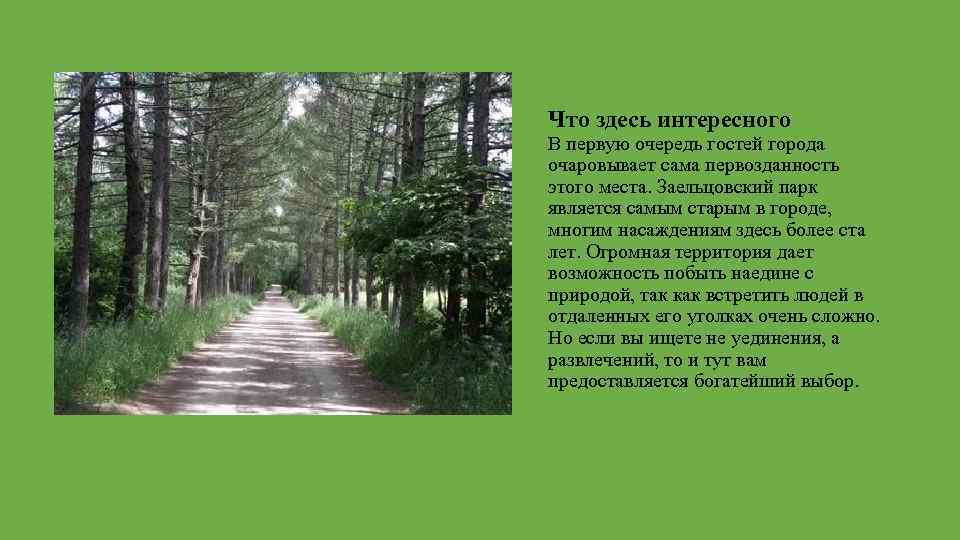 Что здесь интересного В первую очередь гостей города очаровывает сама первозданность этого места. Заельцовский