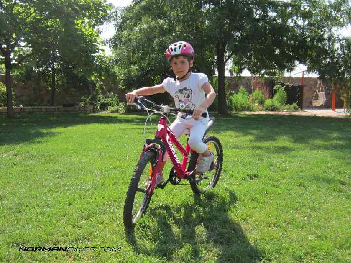 Модельный ряд 