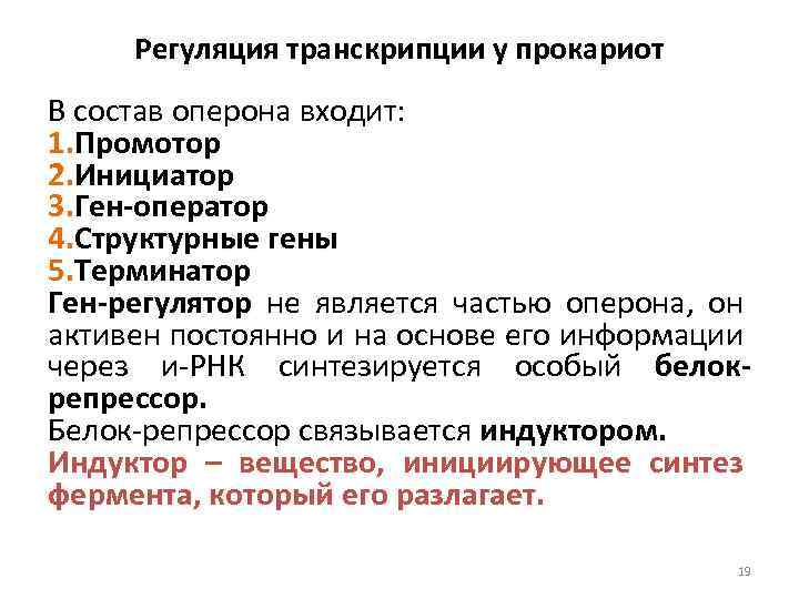 Регуляция транскрипции у прокариот В состав оперона входит: 1. Промотор 2. Инициатор 3. Ген-оператор