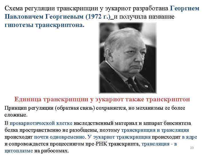Схема регуляции транскрипции у эукариот разработана Георгием Павловичем Георгиевым (1972 г. ) и получила