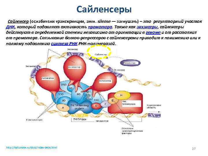 Сайленсеры Сайленсер (ослабители транскрипции, англ. silense — заглушать) – это регуляторный участок ДНК, который