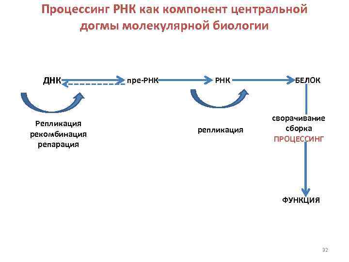 Селект процессинг