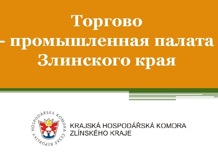 Торгово - промышленная палата Злинского края 