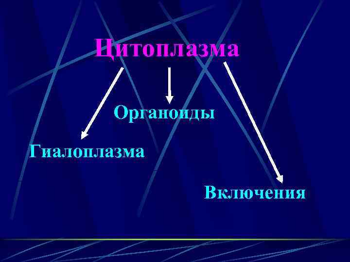 Цитоплазма Органоиды Гиалоплазма Включения 