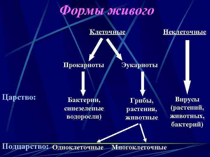 Живая форма языка