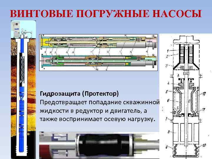 Винтовой насос презентация