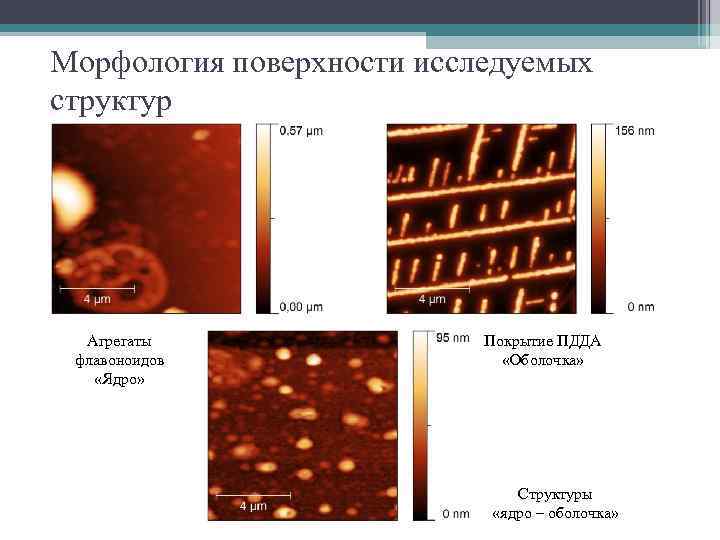 Морфология поверхности исследуемых структур Агрегаты флавоноидов «Ядро» Покрытие ПДДА «Оболочка» Структуры «ядро – оболочка»