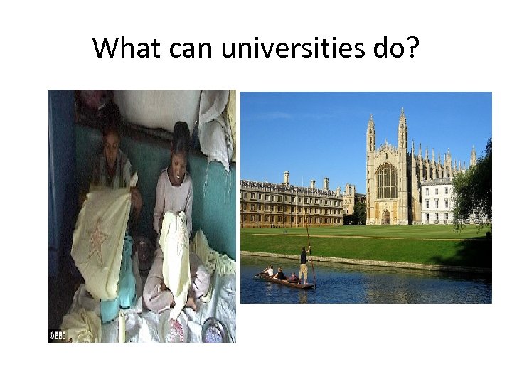 What can universities do? 