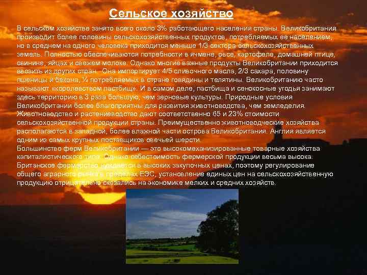 Сельское хозяйство В сельском хозяйстве занято всего около 3% работающего населения страны. Великобритания производит
