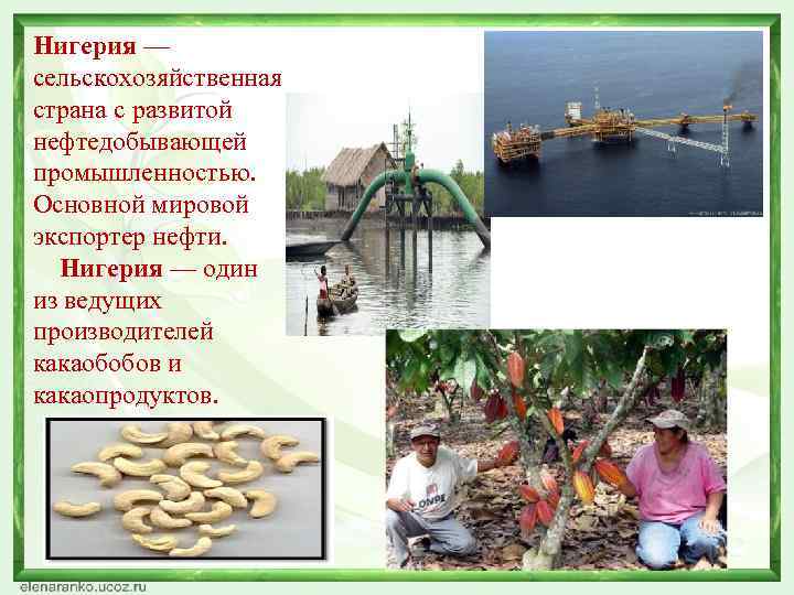 Нигерия — сельскохозяйственная страна с развитой нефтедобывающей промышленностью. Основной мировой экспортер нефти. Нигерия —