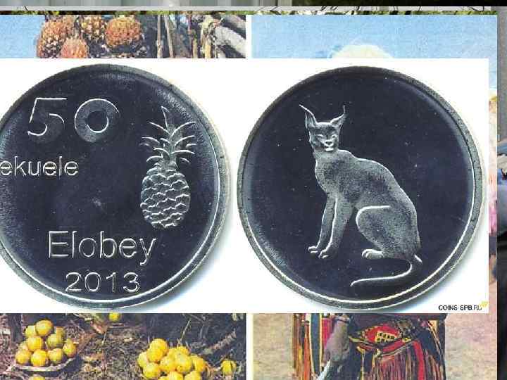 Страны Центральной Африки Это позволяет им не только развивать промышленность, но и быть субъектом