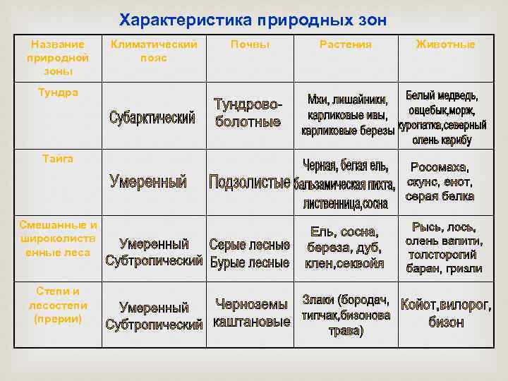 Характеристика природных зон Название природной зоны Тундра Тайга Смешанные и широколиств енные леса Степи