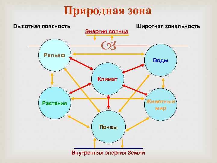 Природные зоны земли 7 класс география