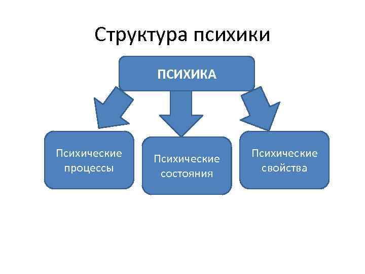 Структура психики человека схема