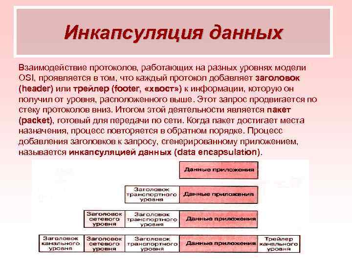 Инкапсуляция данных Взаимодействие протоколов, работающих на разных уровнях модели OSI, проявляется в том, что