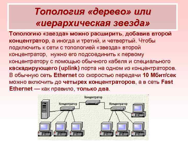 Топология «дерево» или «иерархическая звезда» Топологию «звезда» можно расширить, добавив второй концентратор, а иногда