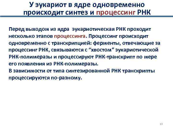 У эукариот в ядре одновременно происходит синтез и процессинг РНК Перед выходом из ядра