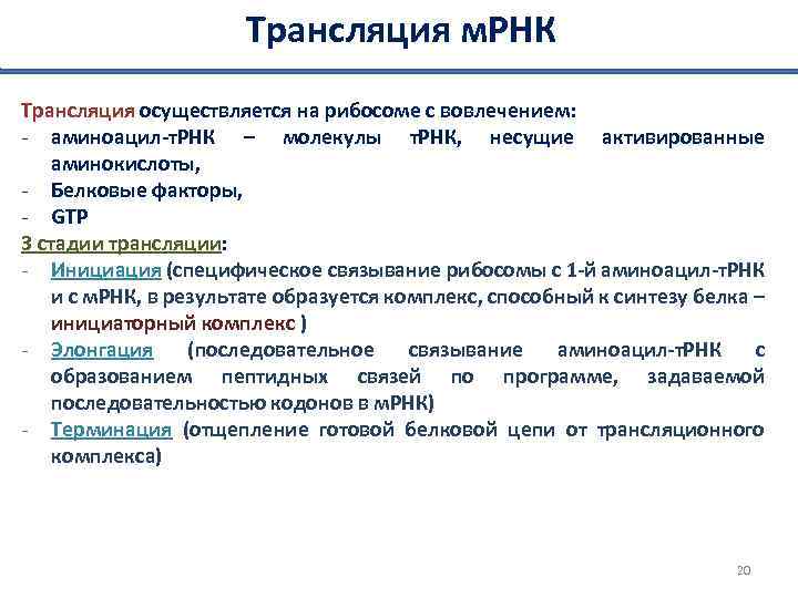 Трансляция м. РНК Трансляция осуществляется на рибосоме с вовлечением: - аминоацил-т. РНК – молекулы