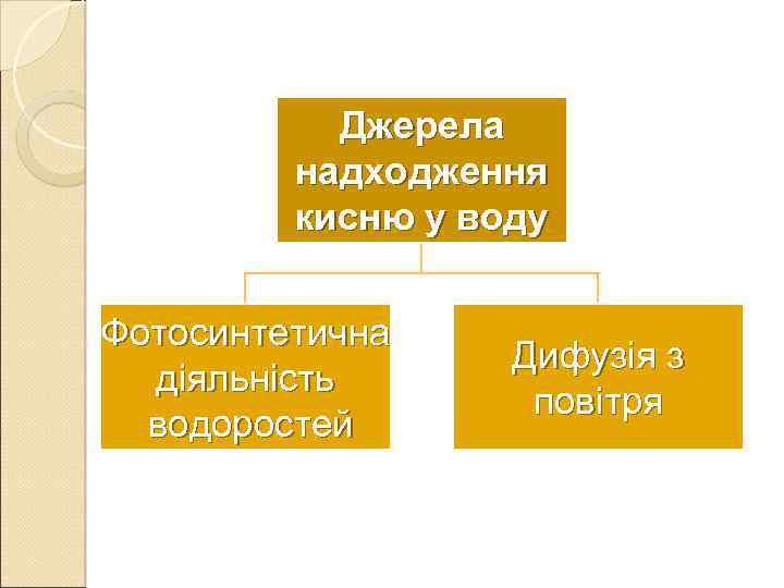 Джерела надходження кисню у воду Фотосинтетична діяльність водоростей Дифузія з повітря 