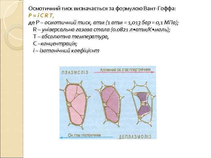 Осмотичний тиск визначається за формулою Вант-Гоффа: P = i C R T, де Р