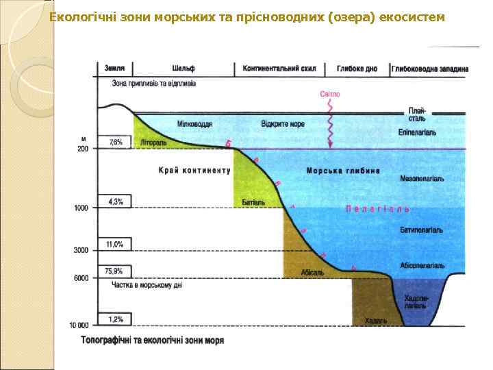 Екологічні зони морських та прісноводних (озера) екосистем 