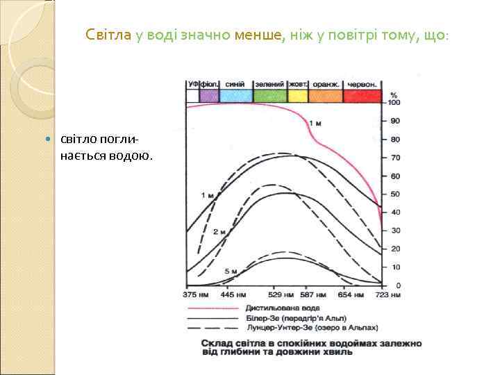 Світла у воді значно менше, ніж у повітрі тому, що: світло поглинається водою. 