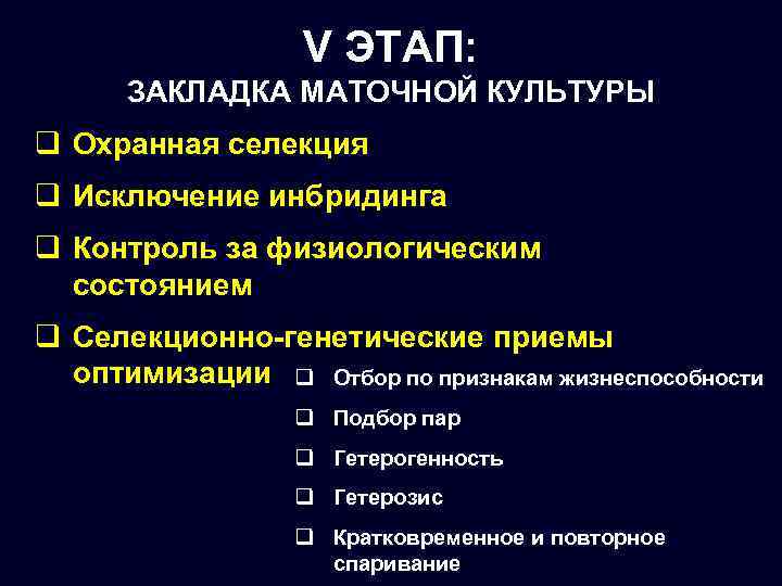 V ЭТАП: ЗАКЛАДКА МАТОЧНОЙ КУЛЬТУРЫ q Охранная селекция q Исключение инбридинга q Контроль за
