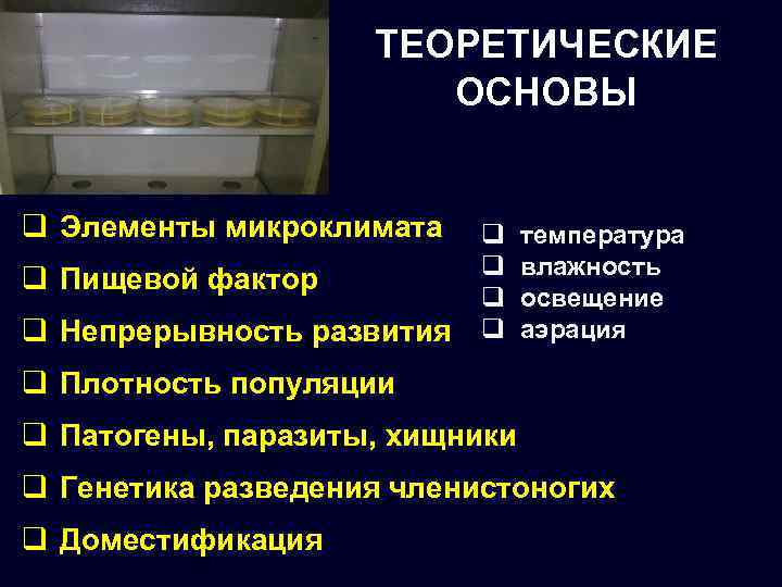 ТЕОРЕТИЧЕСКИЕ ОСНОВЫ q Элементы микроклимата q Пищевой фактор q Непрерывность развития q q температура