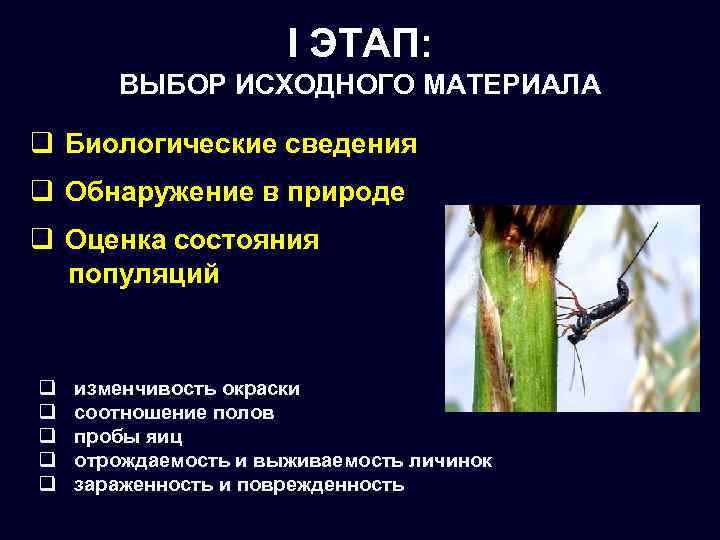 I ЭТАП: ВЫБОР ИСХОДНОГО МАТЕРИАЛА q Биологические сведения q Обнаружение в природе q Оценка
