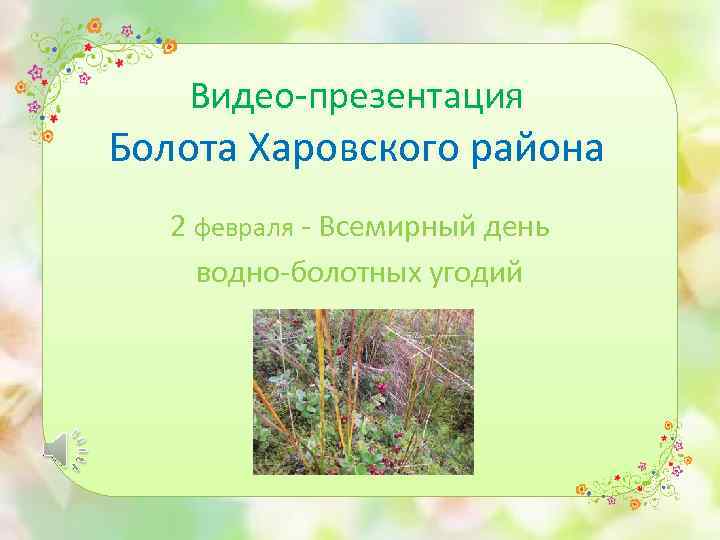 Видео-презентация Болота Харовского района 2 февраля - Всемирный день водно-болотных угодий 