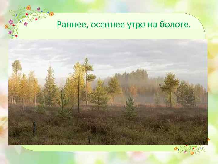 Раннее, осеннее утро на болоте. 