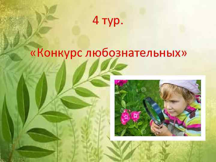 4 тур. «Конкурс любознательных» 