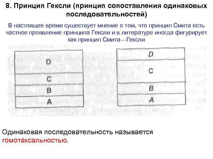 8. Принцип Гексли (принцип сопоставления одинаковых последовательностей) В настоящее время существует мнение о том,