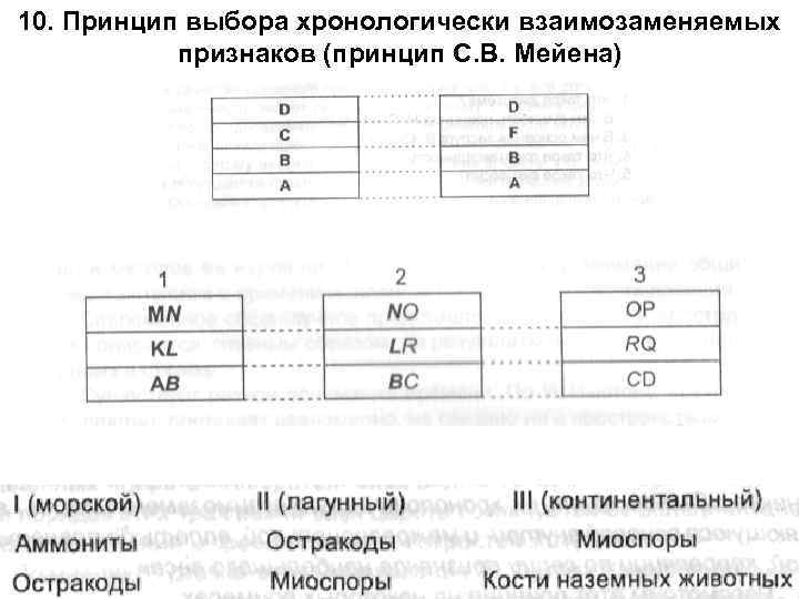 10. Принцип выбора хронологически взаимозаменяемых признаков (принцип С. В. Мейена) 