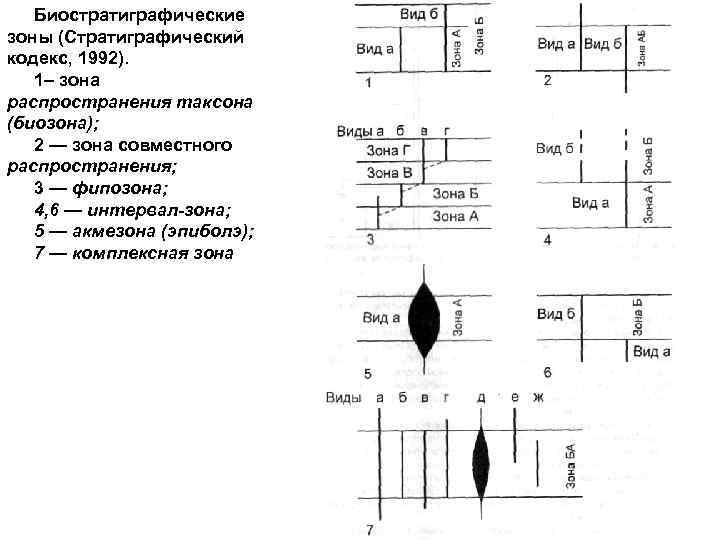 Биостратиграфические зоны (Стратиграфический кодекс, 1992). 1– зона распространения таксона (биозона); 2 — зона совместного